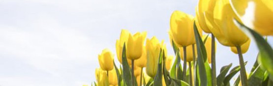 Spring into Action!